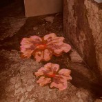 Bonnie and Neil | Bath Mat | Tulip Tan